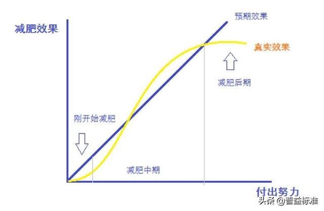 金融圈为什么会有这么多胖子？