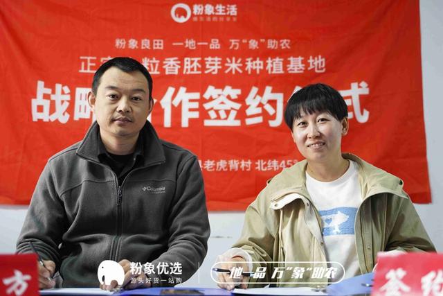 “粉象良田，一粒好米” 粉象生活助力肇源好米