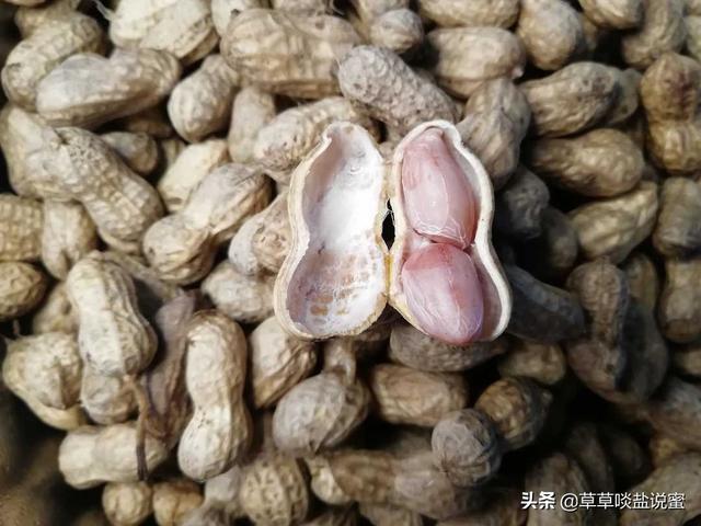 新花生上市，老泉州人就好这一口，花生咸粥，粉糯香甜，无敌美味