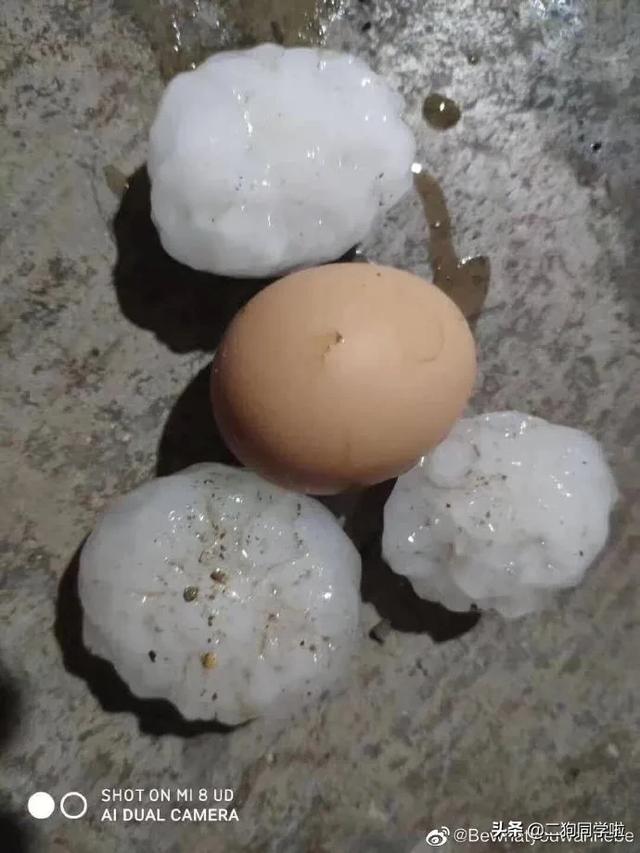 昨晚，山东14市遭遇冰雹天气！最大鸡蛋个头等于