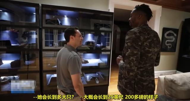 éæ¯æ£®æéæ¯å®¶ï¼ è±ªè»å¯µç©æ¸¸æ³³æ± ï¼ ä½ å°NBAçå¡è±ªå®ä¸ç¡æç¥