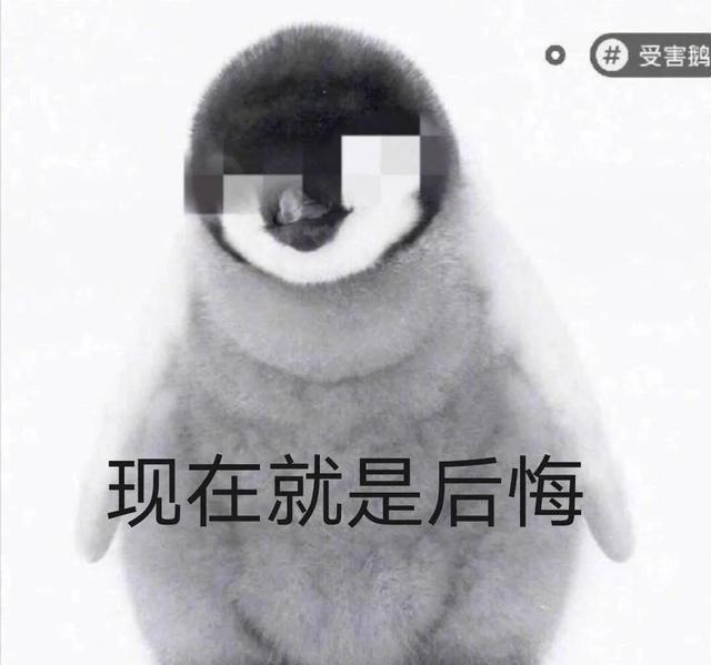 շСá߽񷨵⑮