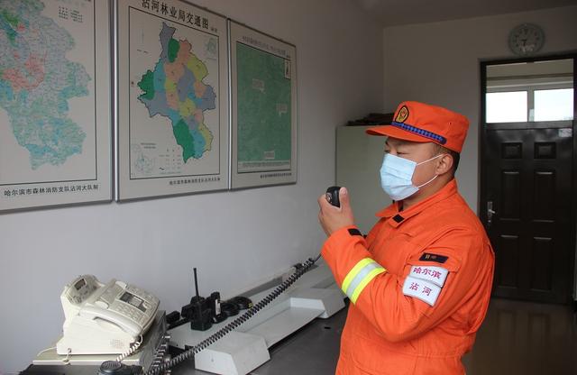 坚守在绿色林海中的火焰蓝