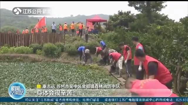 防汛■苏州金庭镇：四面环水的太湖湖心岛如何全力防汛？