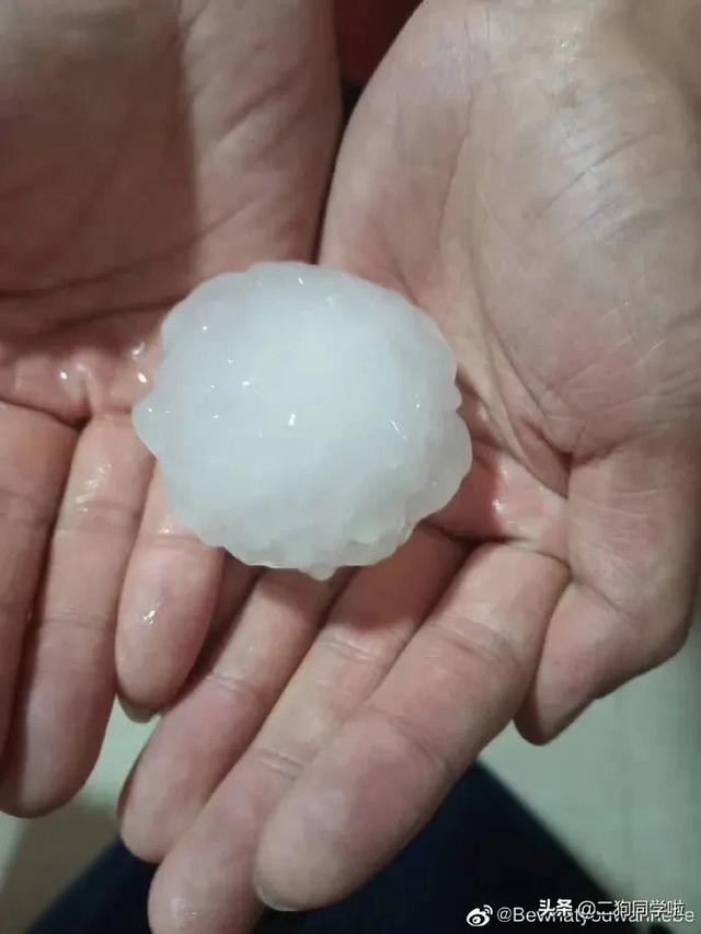 昨晚，山东14市遭遇冰雹天气！最大鸡蛋个头等于