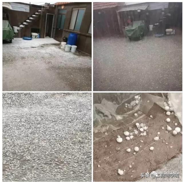 昨晚，山东14市遭遇冰雹天气！最大鸡蛋个头等于