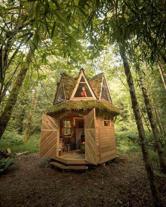 被青苔覆蓋的小木屋｜生態建筑