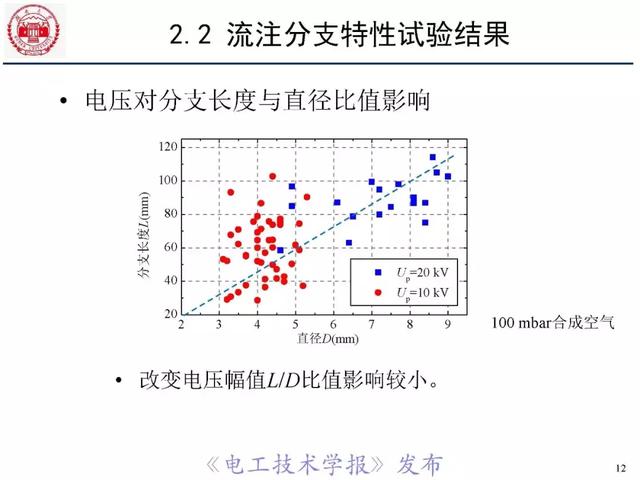 青年學(xué)者報(bào)告｜湖南大學(xué)陳赦：空氣間隙流注分支特性及三維模型