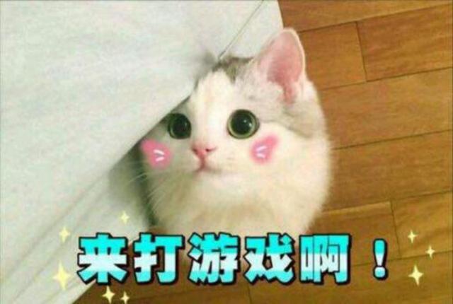 梦幻西游：梦幻首款拥有自己装扮的坐骑，甜蜜蜜豆豆穿搭分享