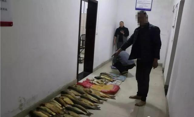 江津区|【聚焦】江津长江流域禁捕退捕工作纪实