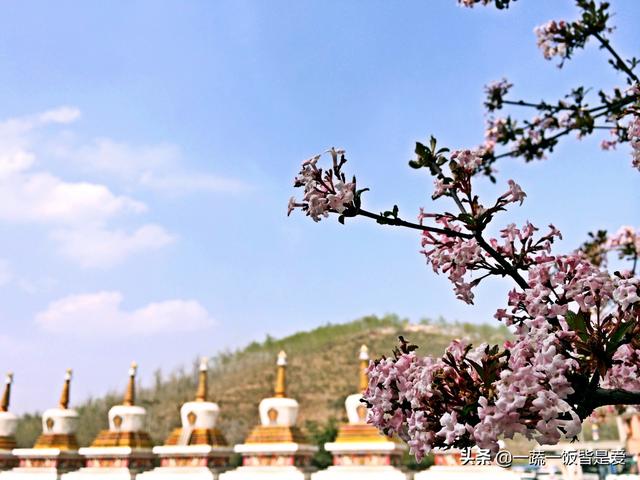 从甘肃到青海——苍茫的天涯是我的爱