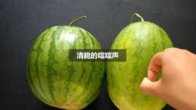 瓜农老伯教我挑选西瓜，一挑一个准，方法太棒