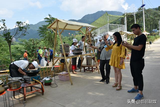 西安市鄠邑区葡萄文化旅游节暨终南最美栗峪口·乡村旅游第一季盛大开幕