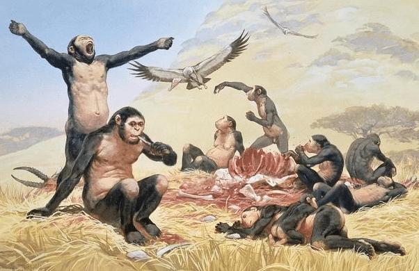 古猿真的是人类祖先：科学家：还有一种可能，或无法接受
