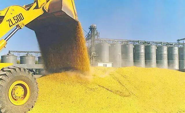 看外资粮商巨头如何布局中国