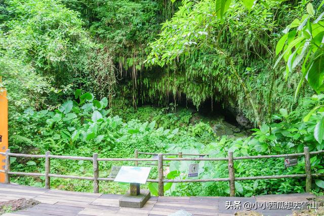 世界上保存最完整的火山群，拥有40多座火山，竟然藏在海南海口