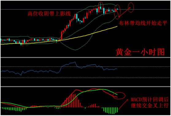 柏梦月：8.6黄金屡创新高回调继续多，黄金原油走势操作建议