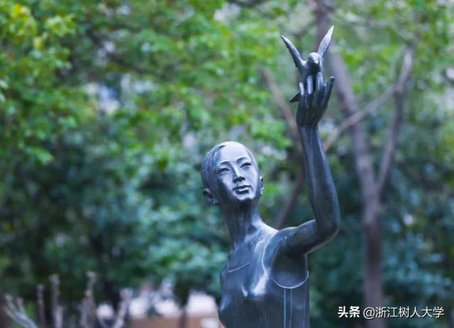 最新！2020专升本分数线划定！2019浙江树人大学录取线供你参考