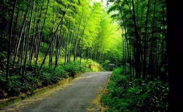 長(zhǎng)沙第一大美女原來(lái)長(zhǎng)這樣！數(shù)十萬(wàn)人跨省而來(lái)，只為看她一眼？