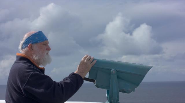 来了！4万多头座头鲸浩浩荡荡逼近悉尼港！气势
