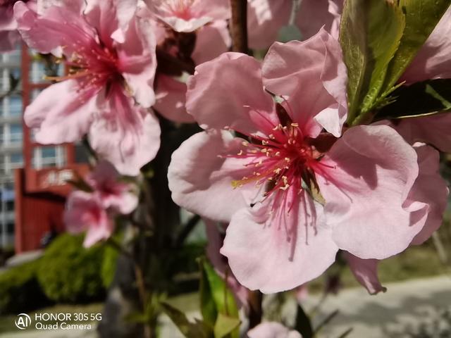 聊聊「中端旗舰」荣耀30S，麒麟820并不是其唯一