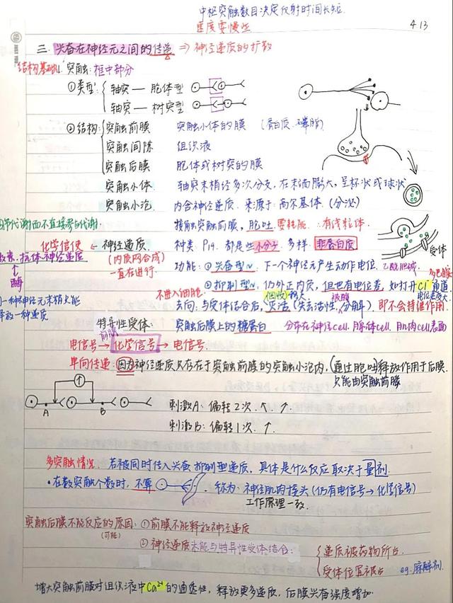 火了！北京名校學霸“筆記”大盤點！網友：靈魂畫家，神仙顏值堪比美術書！