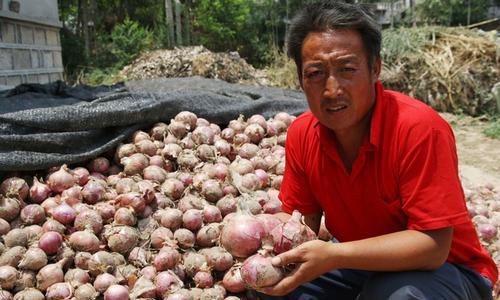 “央企”电商上线，电商平台“厮杀”再加码？