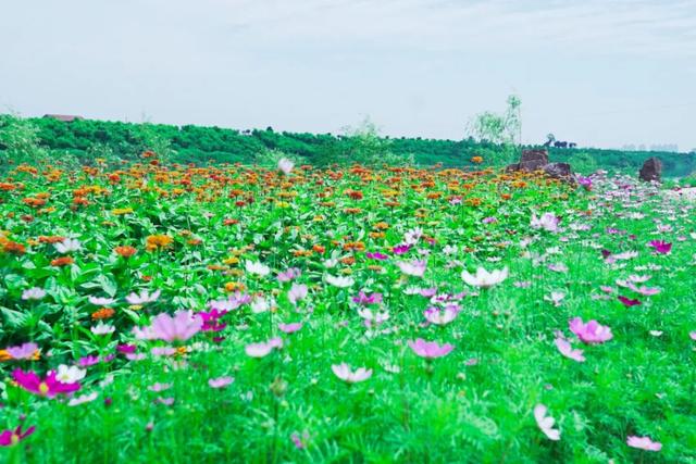 澧县暴雨橙色预警，彭山景区越挫越勇，风雨过后等您见彩虹