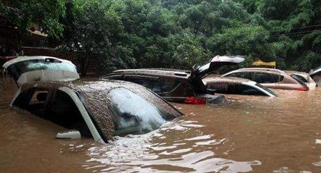 一場(chǎng)大暴雨，揭開新能源車的“遮羞布”，車主：買了個(gè)“爹”