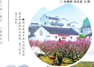 福建福安市：观光农业现代农业撬动乡村经济发展