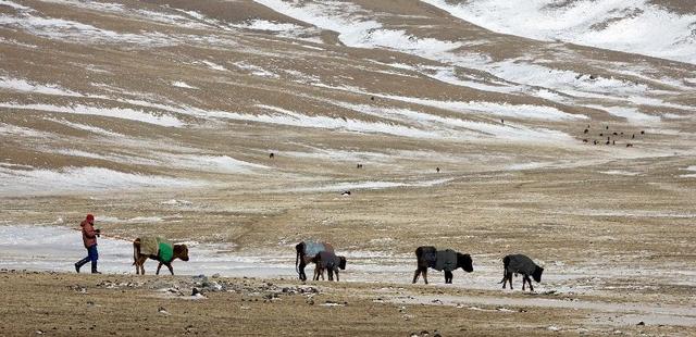 ʱһɹŹٴγ飬һʡʵʩֹ