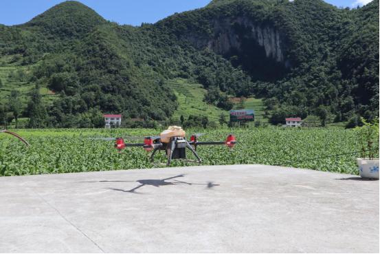 恩施鹤峰县：无人机飞防 帮助烟农生产自救