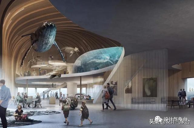 BIG惜败！再牛的方案也比不过一头鲸