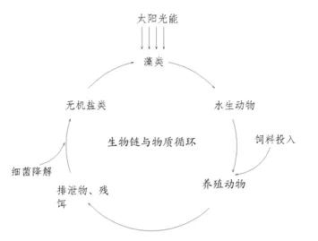 养鱼遇到棘手问题怎么办？养鱼先从认识水体自身循环开始解决