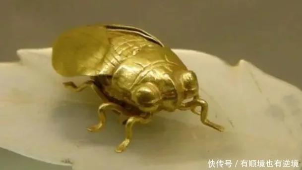 江苏发掘1男4女合葬墓，出土一只“金蝉”，价值