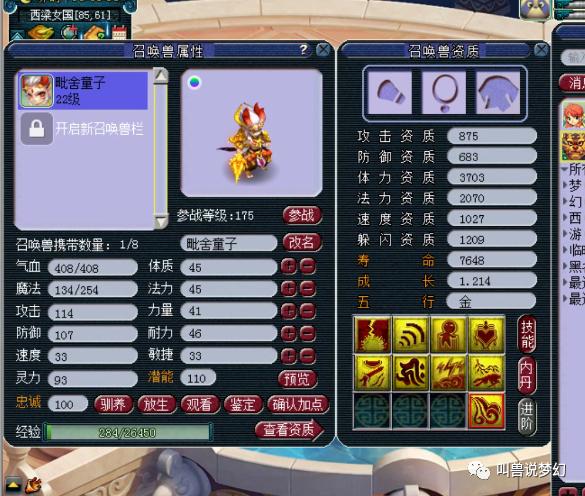 梦幻西游：2017年建号却带天使猪猪来源成谜，真相揭秘