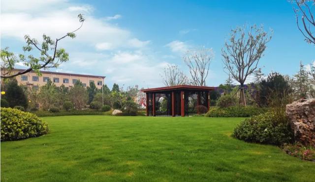 菏澤這里將建體育館、籃球公園！城區又一公園即將開放
