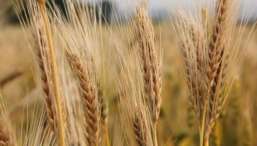 跟着美国干坏事，还想跟中国协商贸易？澳洲好好听听赵立坚怎么说