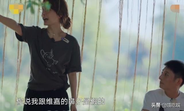 何炅当众证实吴昕的鼻子是假的？谁注意吴昕说