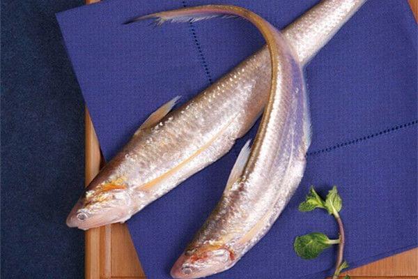 黄河刀鱼与长江刀鱼：不同的水养出同类的鱼！愿能重回百姓餐桌
