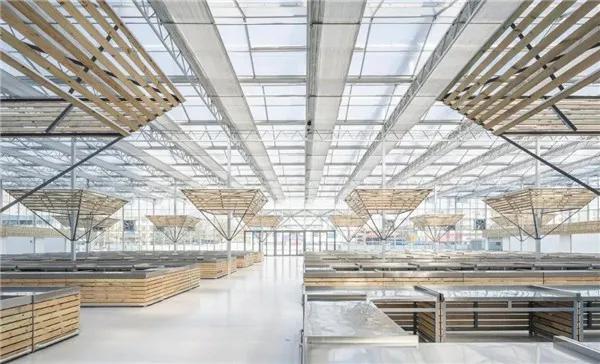 城视时评｜国内外8大优秀农贸市场案例，城市文明与安全的新标志