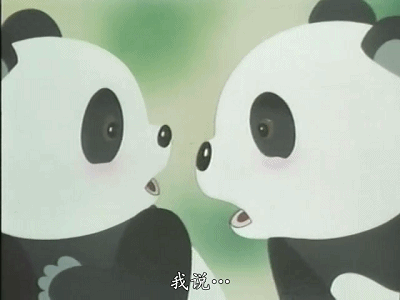 想和熊猫结婚、为看熊猫放弃妹妹婚礼！网友：