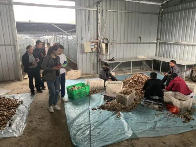 【甘孜】州知新会：建功立业新时代 科技专家走基层