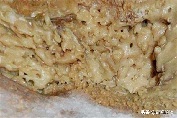 世界十大奇葩食物！“三吱儿”最出名