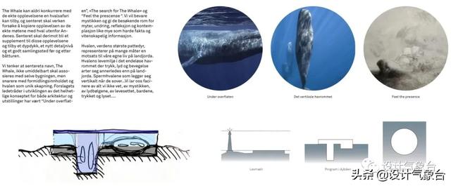 BIG惜败！再牛的方案也比不过一头鲸