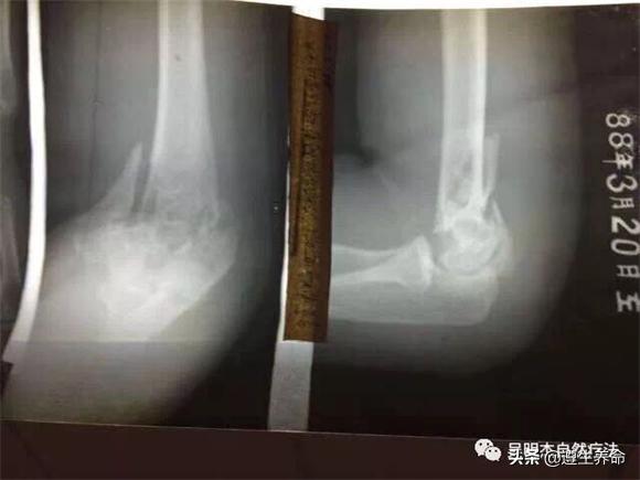 道家中医药研究院创始人吴明杰博士的道法自然之路