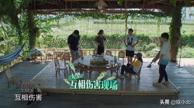 《向往4》提了四季意见，却无人采纳，黄磊也是没招了