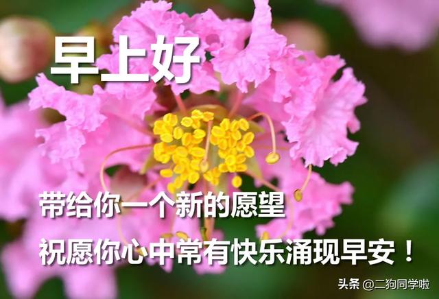 早上好问候语文字带图片 早上好表情包带字问候