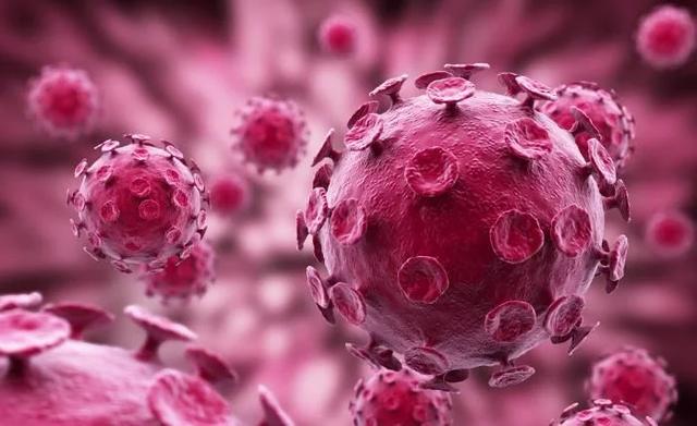 德国正式致电中国，默克尔释放的信号，如今有什么行动？