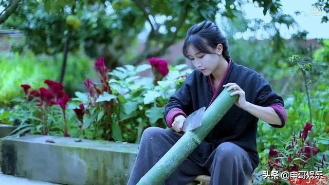 越南博主抄袭李子柒，美拍，抖音和Youtube点击近